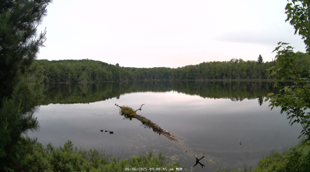 Image from 2025-06-16