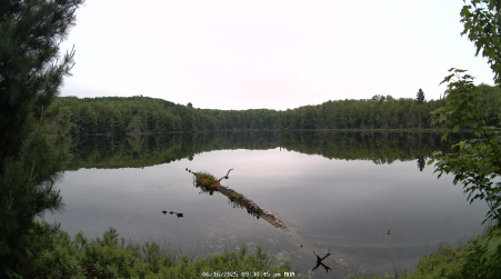 Image from 2025-06-16