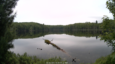 Image from 2025-06-16