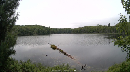Image from 2025-06-16