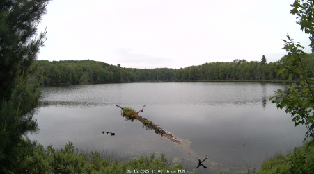 Image from 2025-06-16