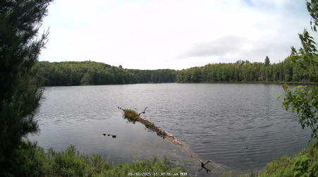 Image from 2025-06-16
