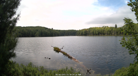 Image from 2025-06-16
