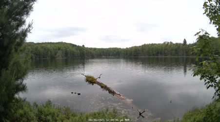 Image from 2025-06-16
