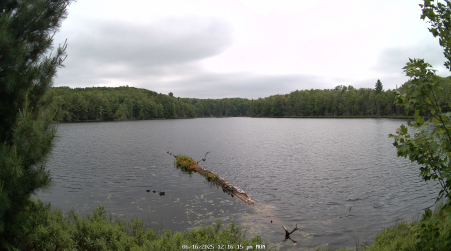 Image from 2025-06-16