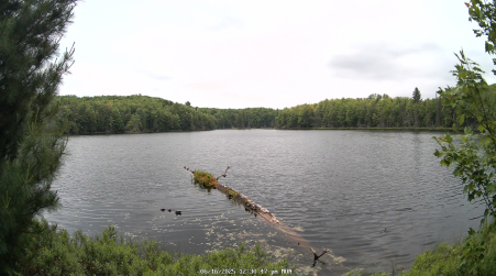 Image from 2025-06-16