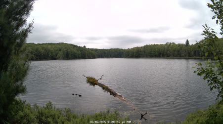 Image from 2025-06-16