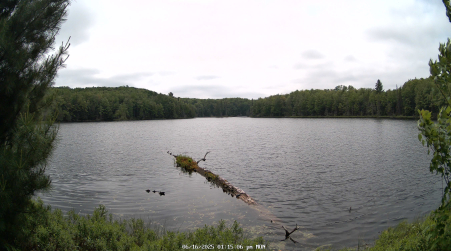 Image from 2025-06-16