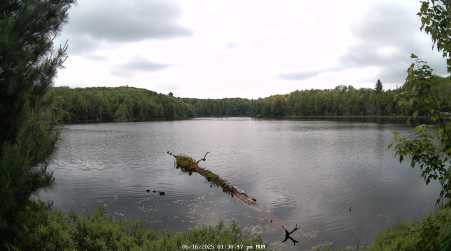 Image from 2025-06-16