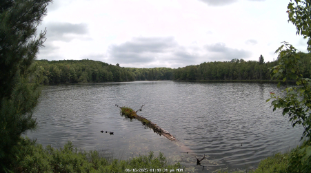 Image from 2025-06-16