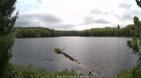 Image from 2025-06-16