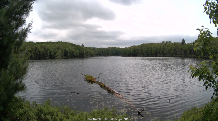 Image from 2025-06-16