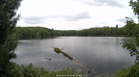 Image from 2025-06-16