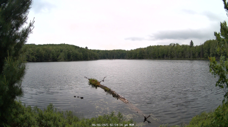 Image from 2025-06-16