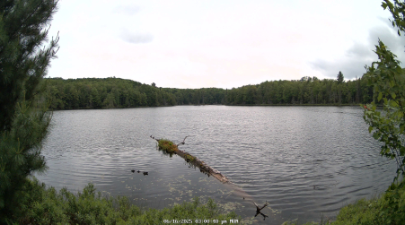Image from 2025-06-16