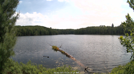 Image from 2025-06-16