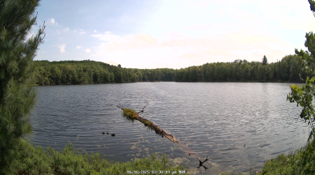 Image from 2025-06-16