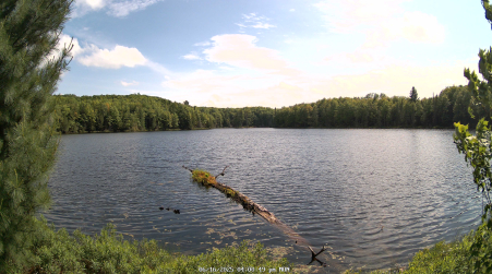 Image from 2025-06-16