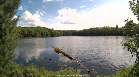 Image from 2025-06-16