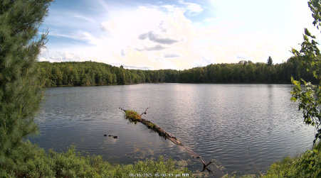 Image from 2025-06-16