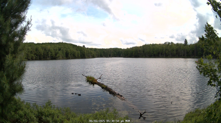 Image from 2025-06-16