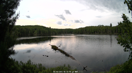 Image from 2025-06-16
