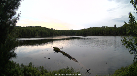 Image from 2025-06-16