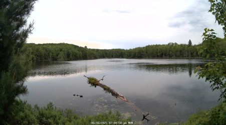 Image from 2025-06-16