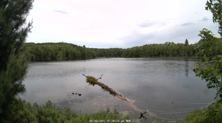 Image from 2025-06-16