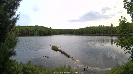 Image from 2025-06-16