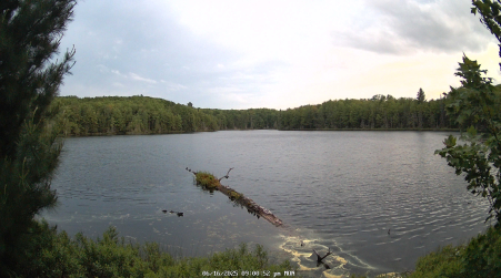 Image from 2025-06-16
