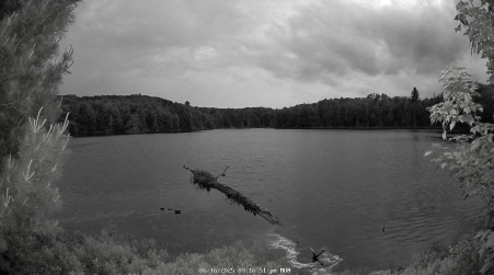 Image from 2025-06-16