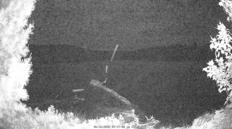 Image from 2025-06-16