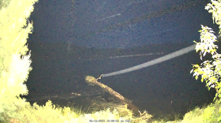 Image from 2025-06-16