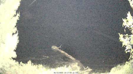Image from 2025-06-16