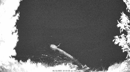 Image from 2025-06-16