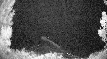 Image from 2025-06-16