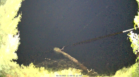 Image from 2025-06-16