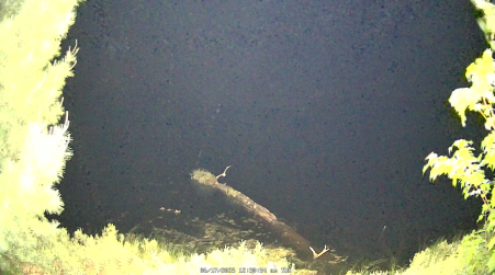 Image from 2025-06-17