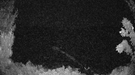 Image from 2025-06-17