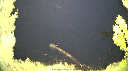 Image from 2025-06-17