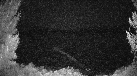 Image from 2025-06-17