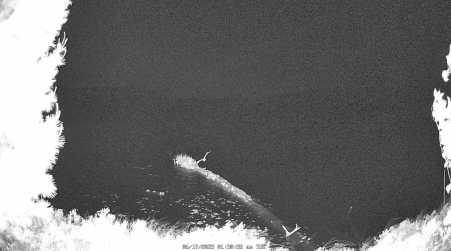 Image from 2025-06-17