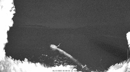 Image from 2025-06-17
