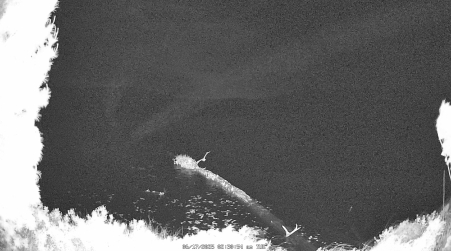 Image from 2025-06-17