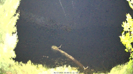 Image from 2025-06-17
