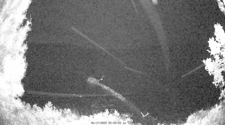 Image from 2025-06-17