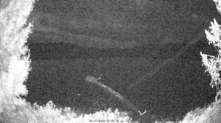 Image from 2025-06-17