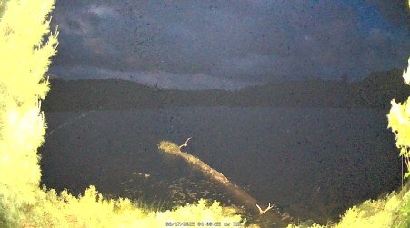 Image from 2025-06-17