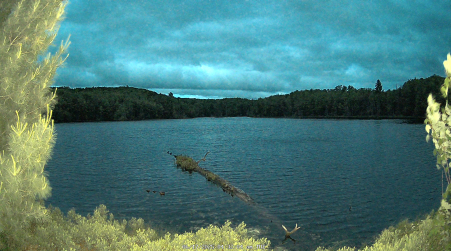 Image from 2025-06-17